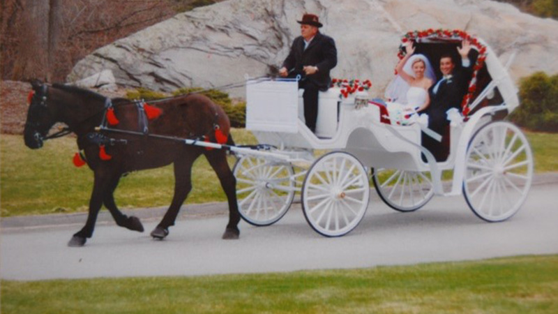 Wedding Carriage
